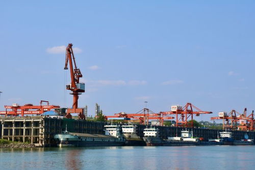 奮戰紅五月，瀘州水運吹響發展進軍號 碼頭建設與管理并舉，激活長江上游黃金水道